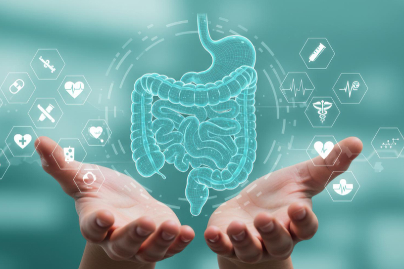 Gastro Health